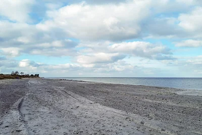 9 Personen Ferienhaus in Otterup-By Traum