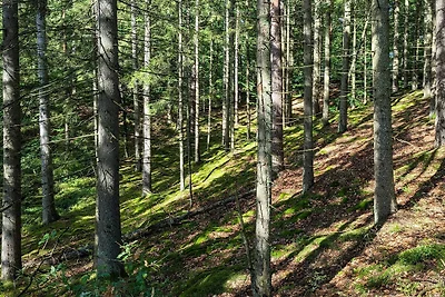 6 persoons vakantie huis in Vittsjö