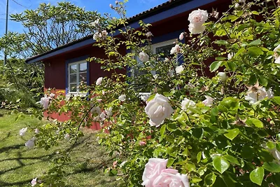 4 persoons vakantie huis in Skärhamn-By Traum