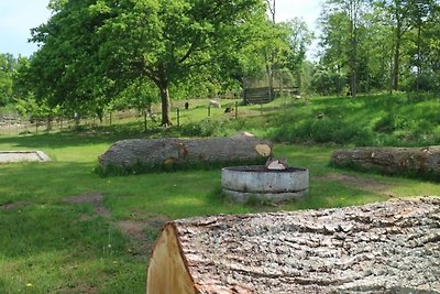 Gemütliches Ferienhaus in Hoor für vier