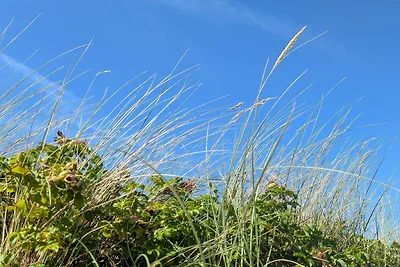 Luxus-Ruckzug in Liseleje -- By Traum...