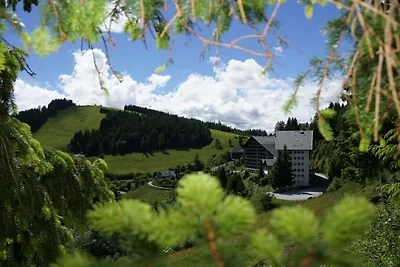 Droomuitzicht Simonhöhe