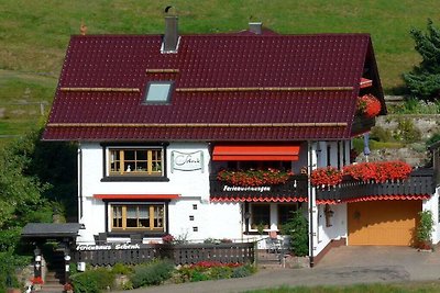 Talblick im "Ferienhaus Schenk"