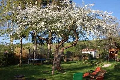 Burgblick Eichstätt - OG