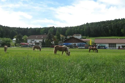 B Vakantie en paardenboerderij Zankl