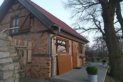 Ferienhaus in Schleusenow mit Sauna