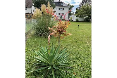 Geiger-Schattner vakantieappartement