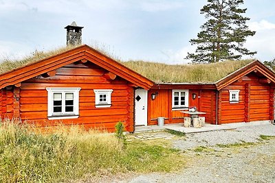 8 Personen Ferienhaus in Krøderen-By Traum