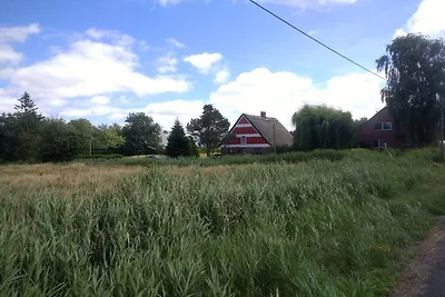 Rietgedekt huis vlakbij de Elbe