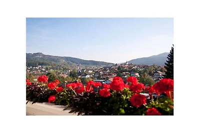 "Arber" im Haus Panorama