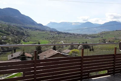 Araucaria presso Residence Braiter