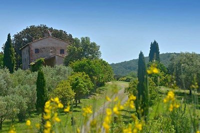 Ferienhaus in Cecina mit Schwimmbecken