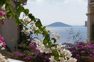 Villa in Kalkan/Kas mit Schwimmbecken