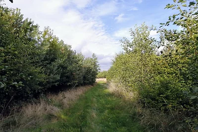 6 Personen Ferienhaus in Stege