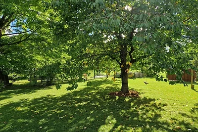 Holiday home with 1 bedroom