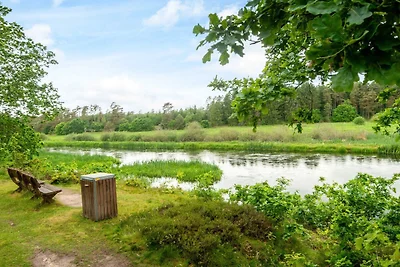 5 Sterne Ferienhaus in Fårvang
