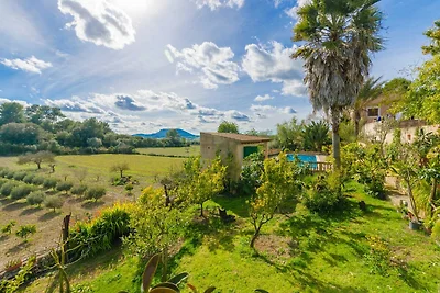 Sabor De Cas Ferrer - Ferienhaus Mit Privatem...