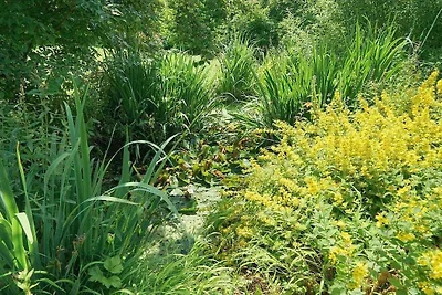 Appartamento per le vacanze