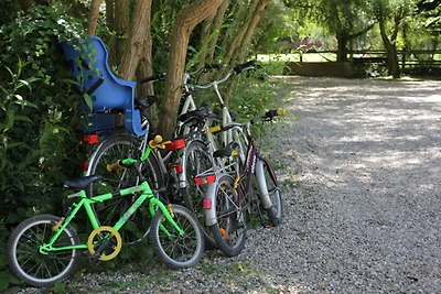 Ferienhaus mit Schwimmbad