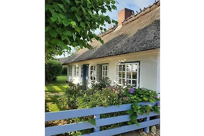 Ferienhaus mit 1 Schlafzimmer