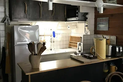 Huis in dennenbos met omheinde tuin