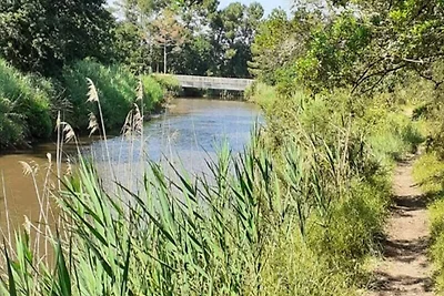 Paradise Ocean Residence