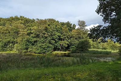 6 Personen Ferienhaus in Toftlund-By Traum