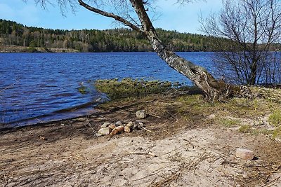 9 persone case ad HÄLLEVADSHOLM-By Traum