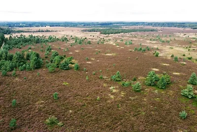 4 Personen Ferienhaus in Hovborg-By Traum