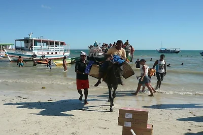 Villa Cactus Salvador Brasilien