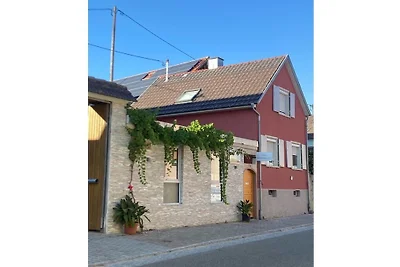Im Weingut Frank Schmidt