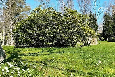6 Personen Ferienhaus in ÖRKELLJUNGA-By Traum