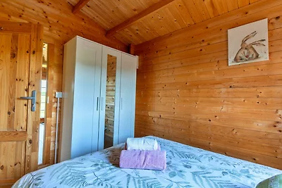Gerהumiges Ferienhaus in Okehampton, Keine...
