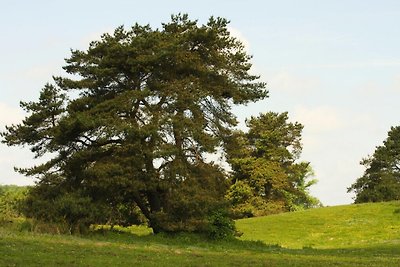 Doppelhaushälfte Seestern, Lohmen