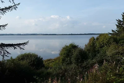 7 persone case ad Skals-By Traum