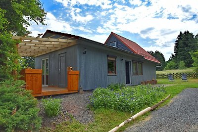 Spacious Holiday Home in Hasselfelde with Pri...