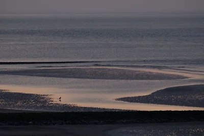 Seehund Komfortable Ferienresidenz