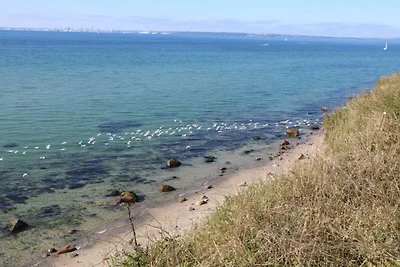 6 persone case ad Knebel-By Traum