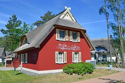 Old Love Comfortabel vakantiehuis
