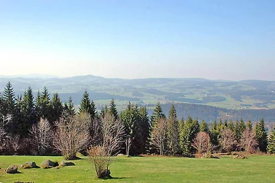 Ferienhaus in Neureichenau