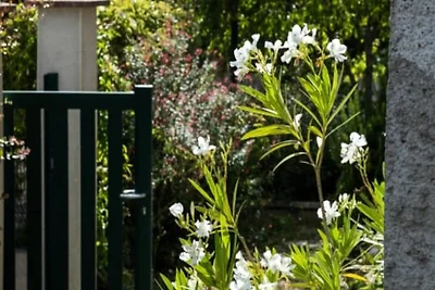 Häuser & Villen für 8 Personen