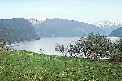 8 persone case ad NORDFJORDEID-By Traum