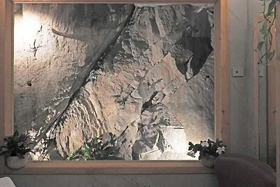 Chalet Verde Scalotta