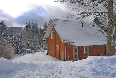 Bosontsnapping nabij skilift