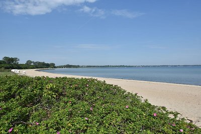 Casa vacanze a Elmenhorst sulla costa baltica