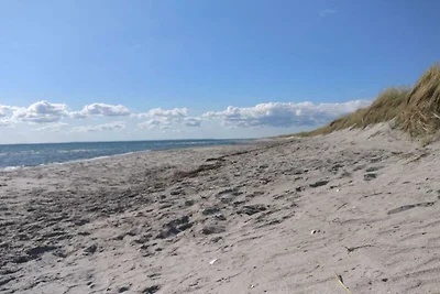 6 Personen Ferienhaus in Hadsund-By Traum