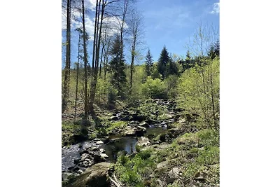 Forest view from the Pletl farm