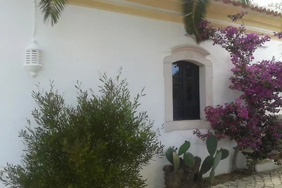 Casa das Palmeiras