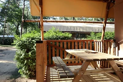 Ferienhaus in Otterlo mit Terrasse