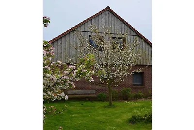 Ferienhaus mit 2 Schlafzimmer